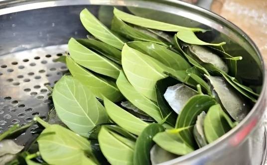 树叶饼