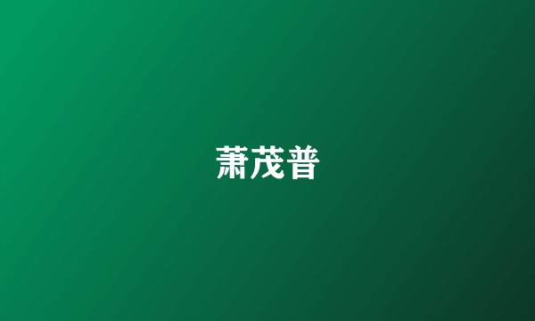萧茂普