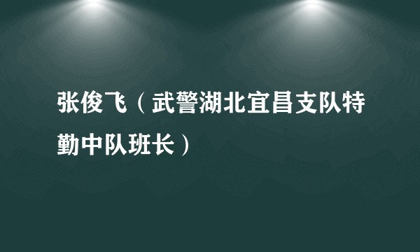 张俊飞（武警湖北宜昌支队特勤中队班长）