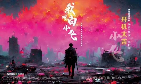 我叫白小飞（2024年王传淋执导的网络剧）