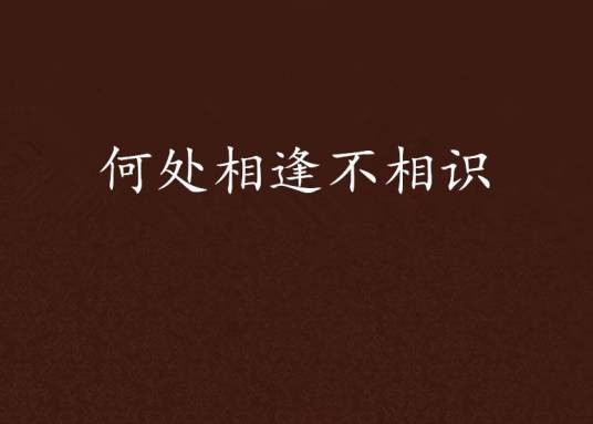 何处相逢不相识