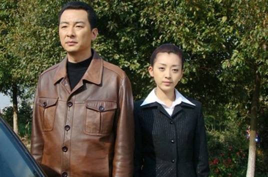 缘去来（2010年李辉执导的爱情剧）