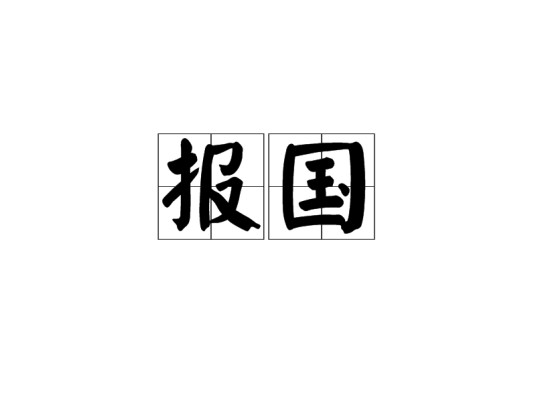 报国