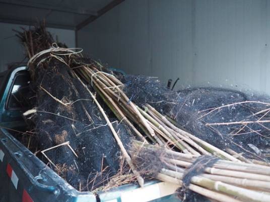 天津万米网海捕鸟案