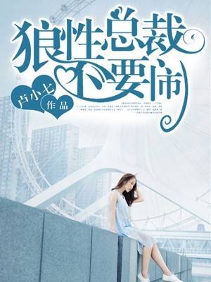 狼性总裁不要闹