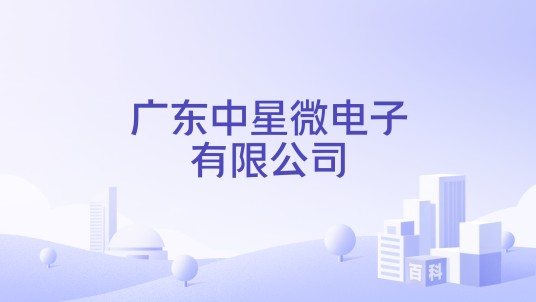 广东中星微电子有限公司