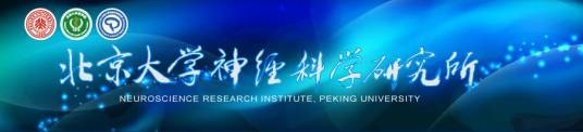 北京大学神经科学研究所