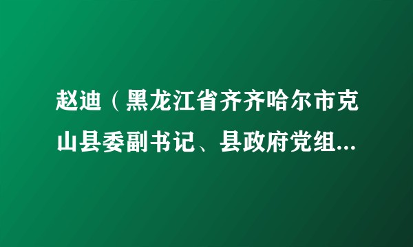 赵迪（黑龙江省齐齐哈尔市克山县委副书记、县政府党组书记、县长兼黑龙江克山经济开发区党工委书记、管委会主任）