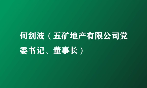 何剑波（五矿地产有限公司党委书记、董事长）