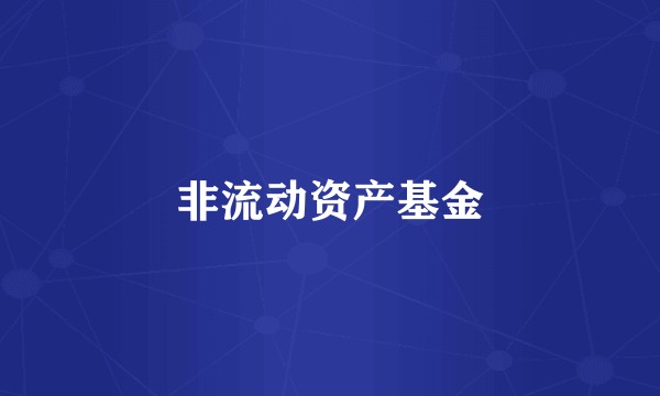 非流动资产基金