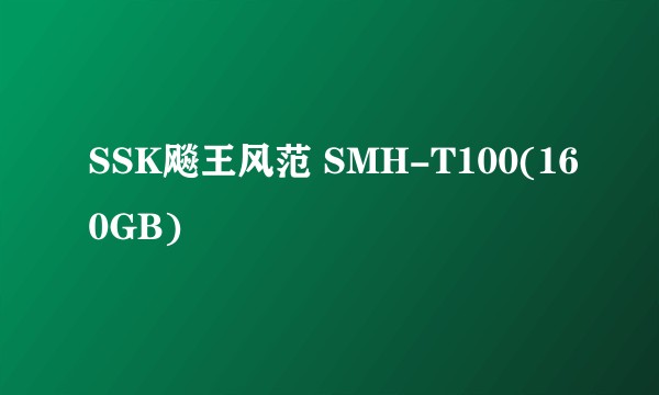 SSK飚王风范 SMH-T100(160GB)