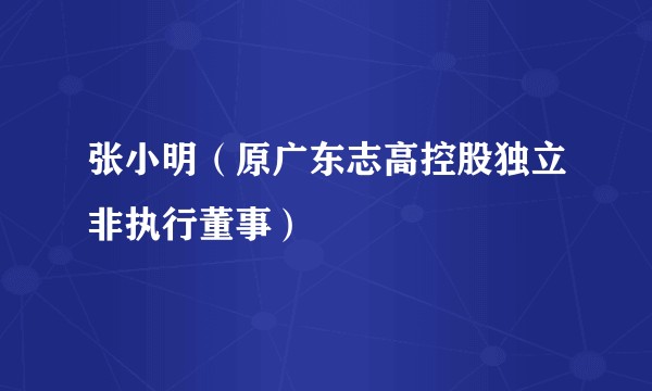 张小明(原广东志高控股独立非执行董事)
