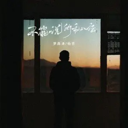 不能说的秘密（罗森涛、杨贡2022年演唱的歌曲）