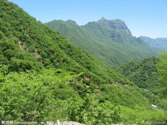山林（汉语词语）