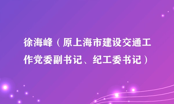 徐海峰（原上海市建设交通工作党委副书记、纪工委书记）