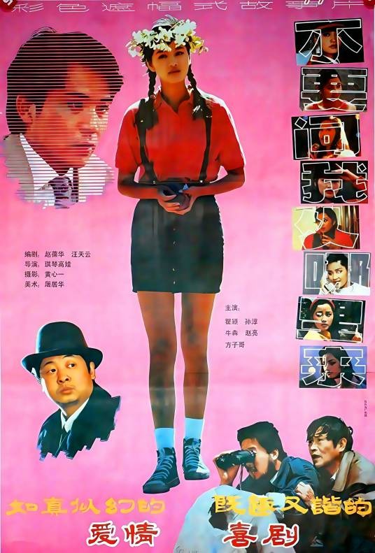 不要问我从哪里来（1991年琪琴高娃执导的电影）