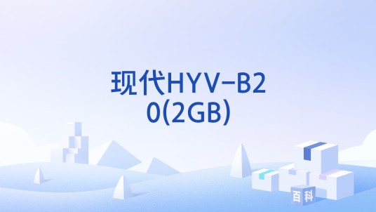 现代HYV-B20(2GB)