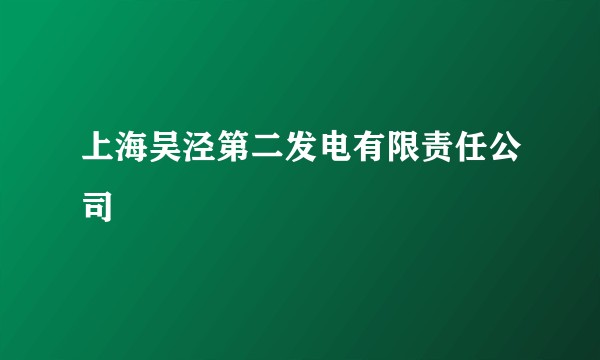 上海吴泾第二发电有限责任公司