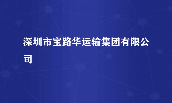 深圳市宝路华运输集团有限公司