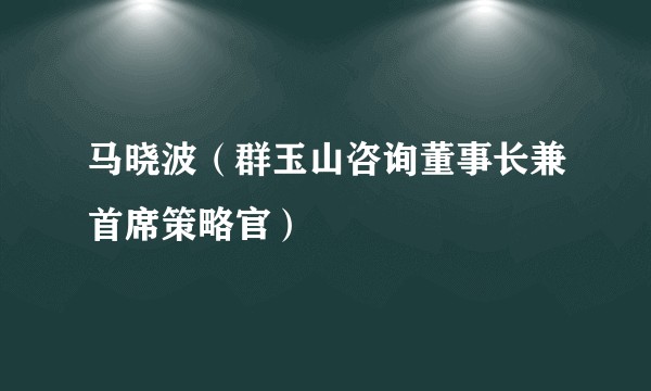 马晓波（群玉山咨询董事长兼首席策略官）