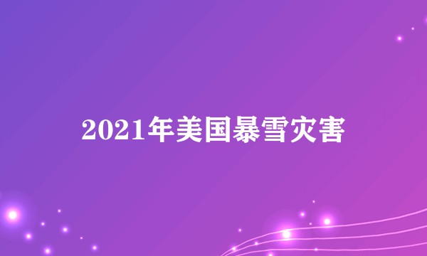 2021年美国暴雪灾害