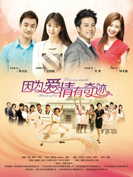 因为爱情有奇迹（2014年高先明、陈启峻执导的都市爱情家庭剧）