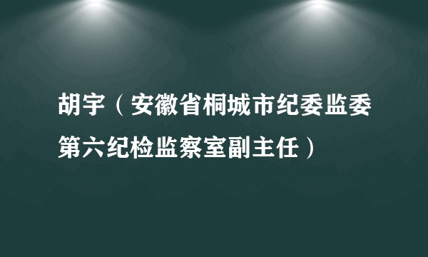 胡宇（安徽省桐城市纪委监委第六纪检监察室副主任）