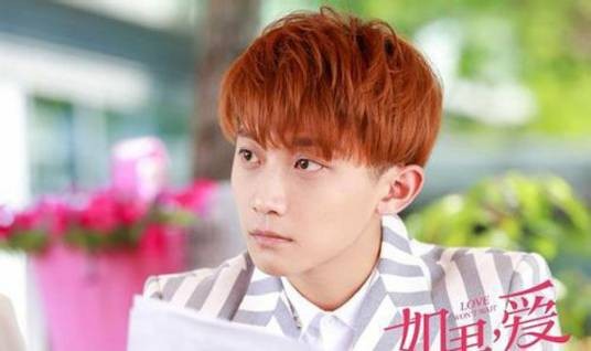 李子铭（电视剧《如果，爱》中的角色）