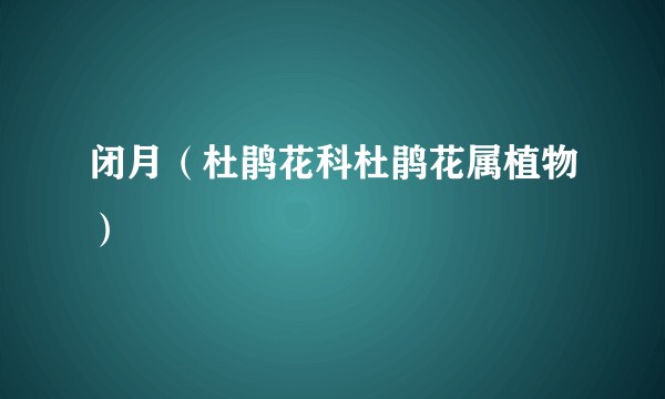 闭月（杜鹃花科杜鹃花属植物）