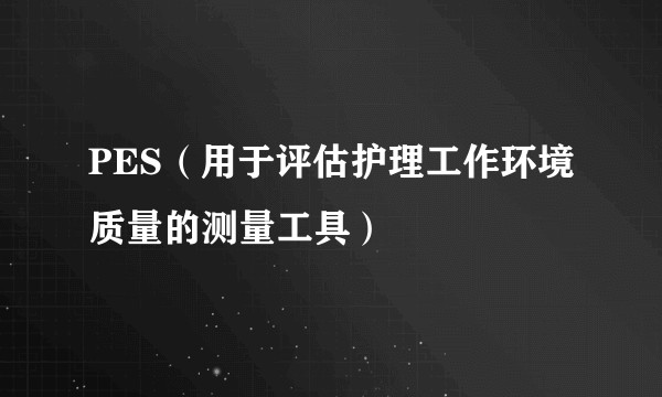 PES（用于评估护理工作环境质量的测量工具）