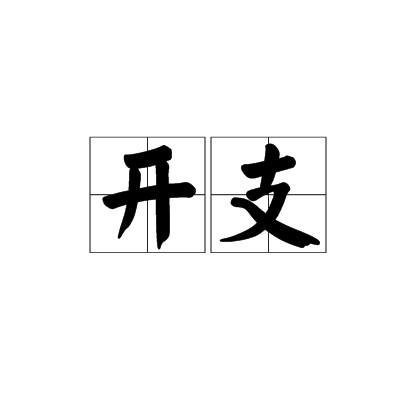 开支