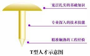T型人才