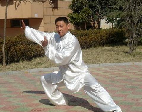 赵堡太极拳（河南温县赵堡镇的中国传统拳术）