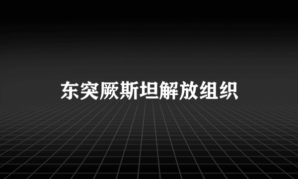 东突厥斯坦解放组织
