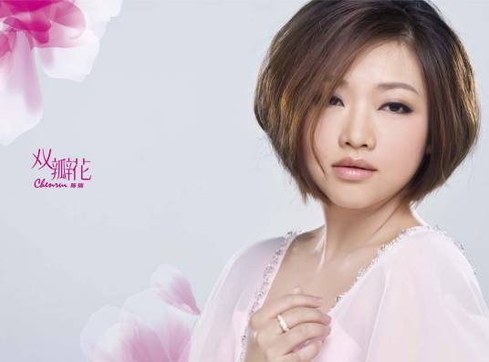 不要对爱说抱歉（2011年陈瑞演唱的歌曲）