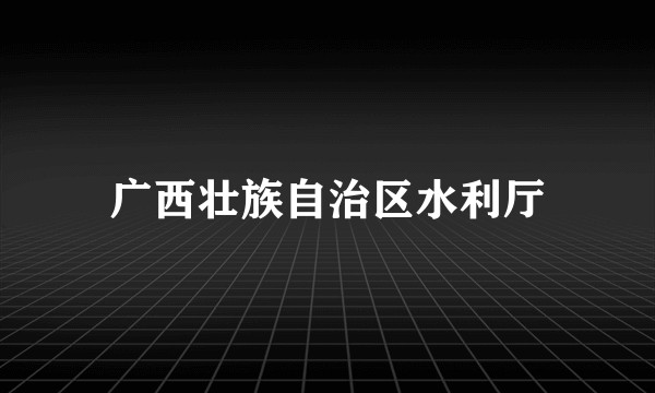 广西壮族自治区水利厅