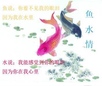 鱼水情