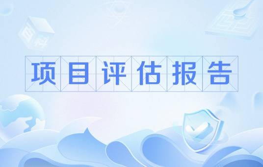 项目评估报告