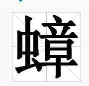 蟑