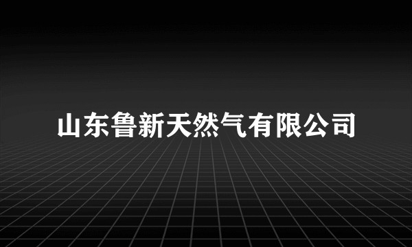 山东鲁新天然气有限公司