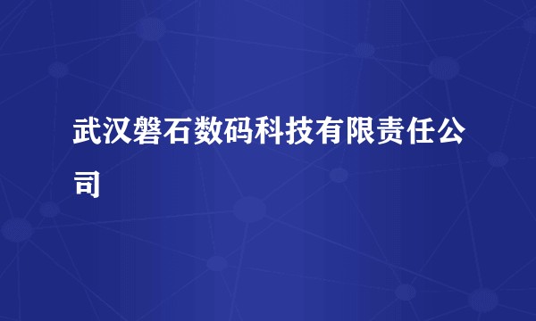 武汉磐石数码科技有限责任公司