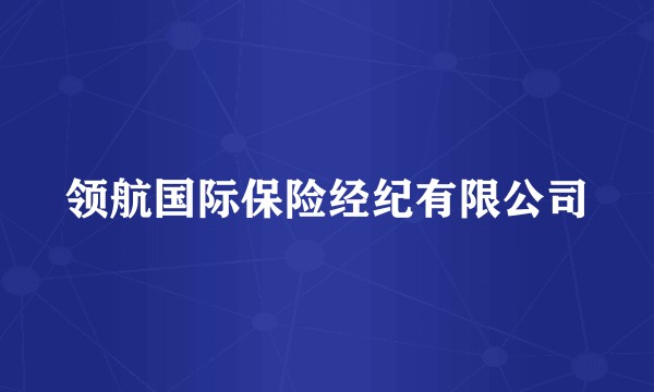 领航国际保险经纪有限公司