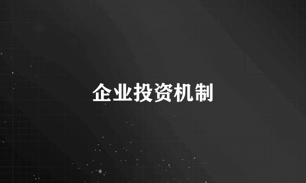 企业投资机制