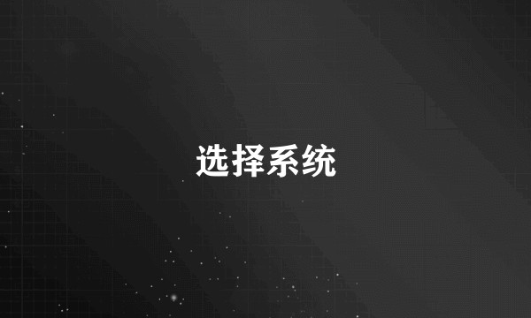选择系统