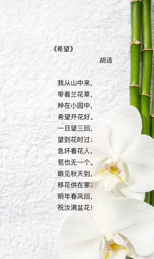 希望（胡适所著诗歌）