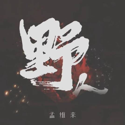 野人(2024年孟维来演唱歌曲)