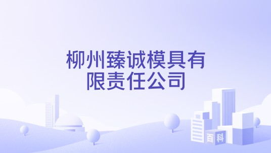柳州臻诚模具有限责任公司