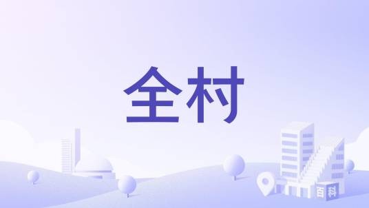 全村