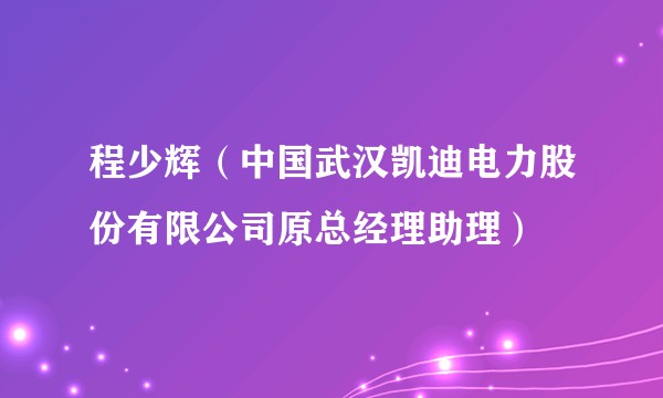 程少辉(中国武汉凯迪电力股份有限公司原总经理助理)