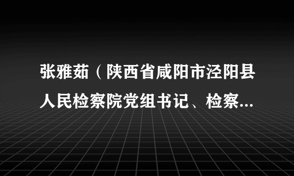 张雅茹（陕西省咸阳市泾阳县人民检察院党组书记、检察长、三级高级检察官）